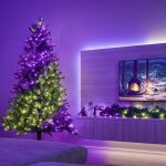 Twinkly Strings | 250-LED | 20 Meter | Black Wire