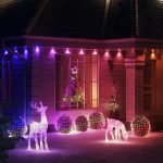 Twinkly Strings | 250-LED | 20 Meter | Black Wire